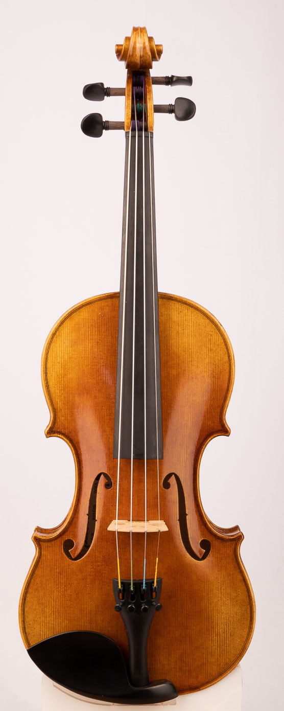 Advancing Violin Model V300